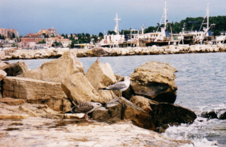 Istria and Krk island