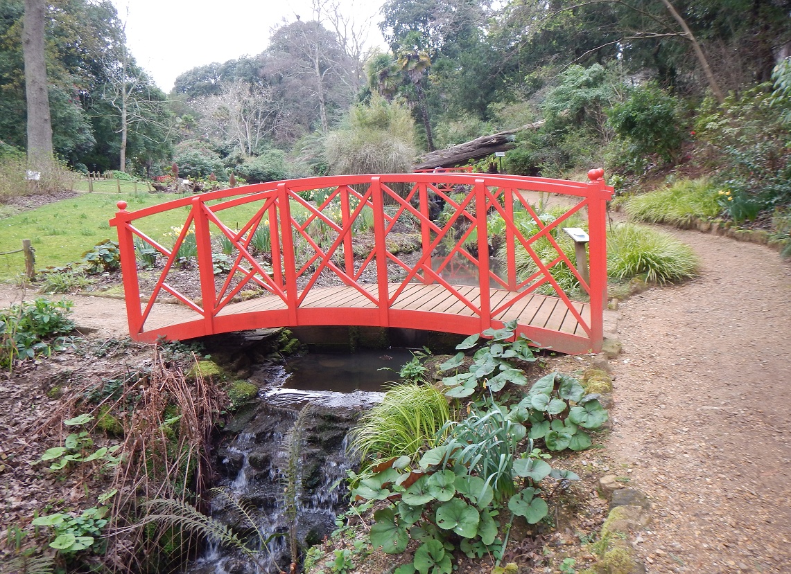 Abbotsbury tropical gardens