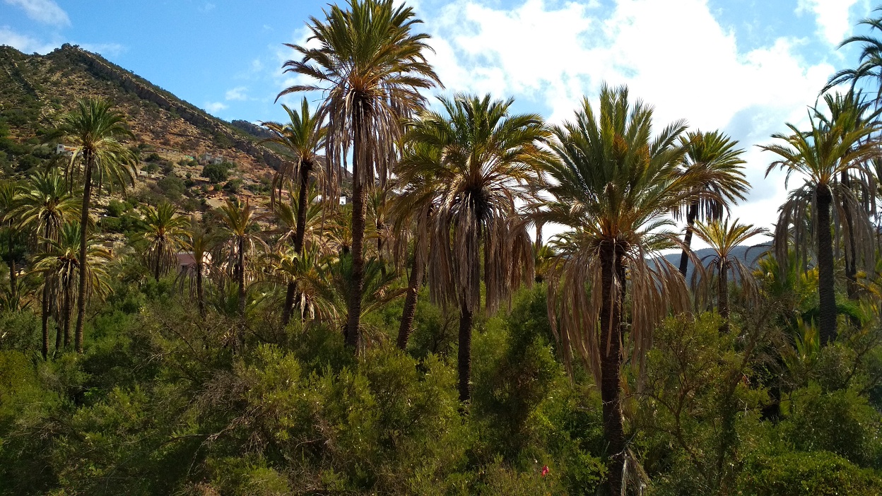 View from Tifrit hotel