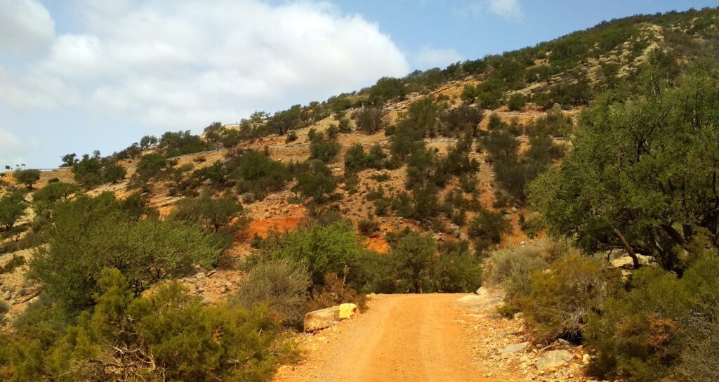 Moroccan mountain road
