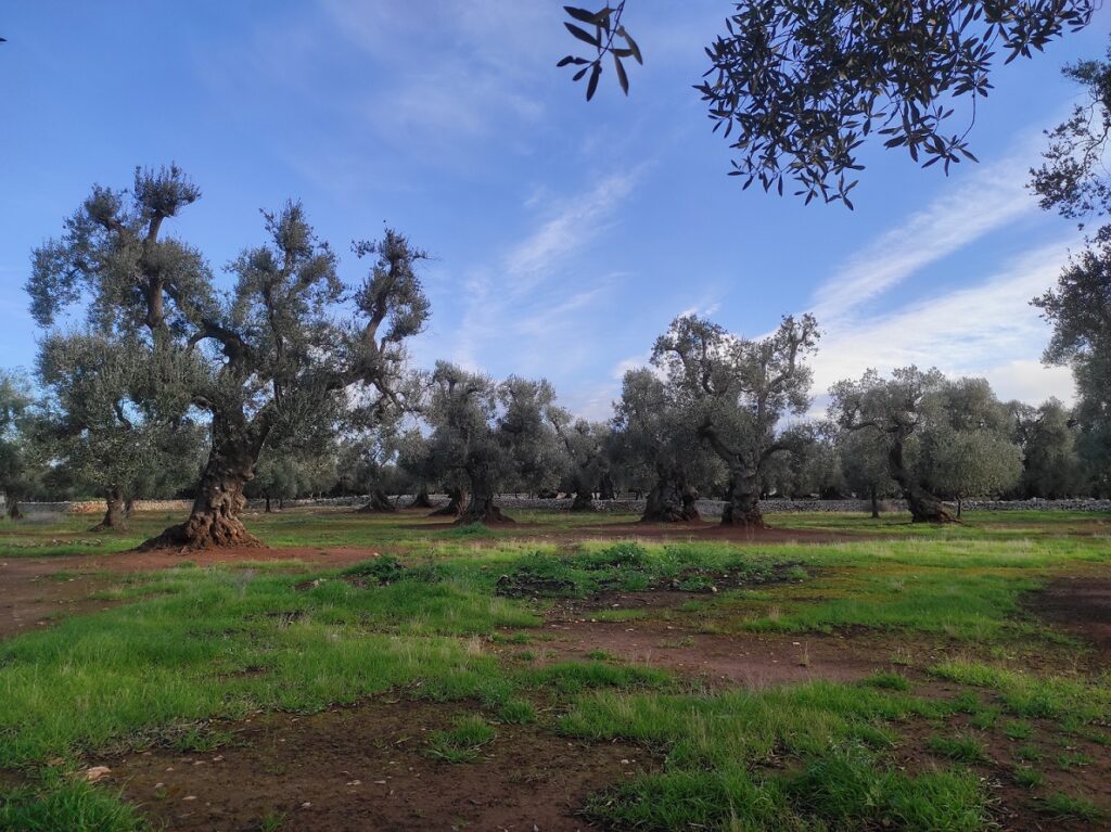 Puglia, Italy