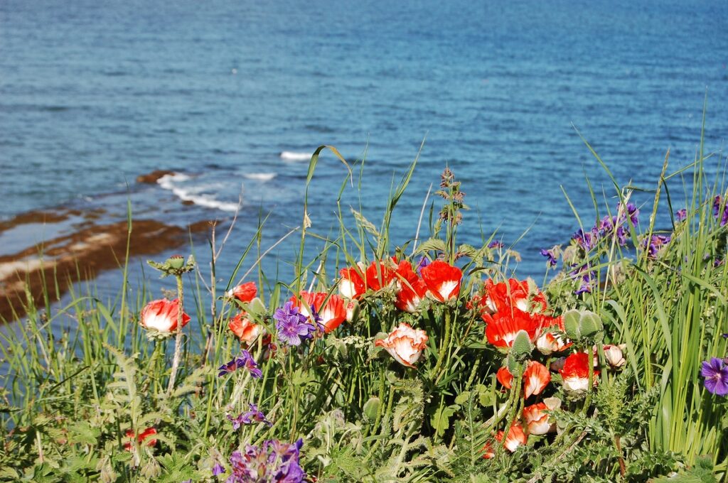 North Sea coast in Scotland