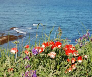 Trip to Scottish highlands