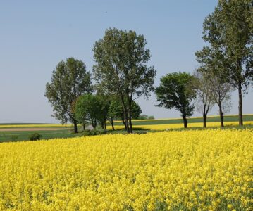 Travel around Poland