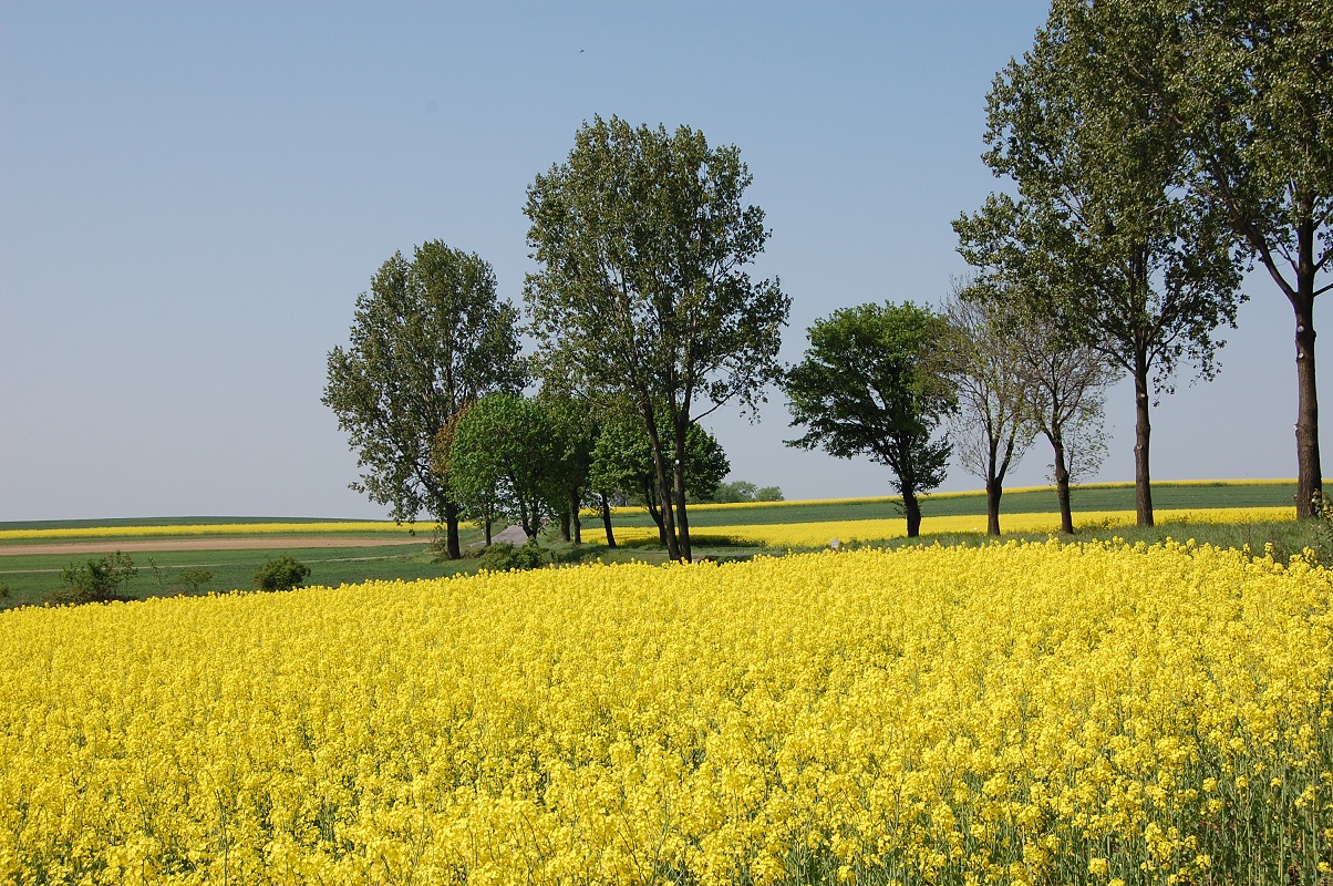 Travel around Poland