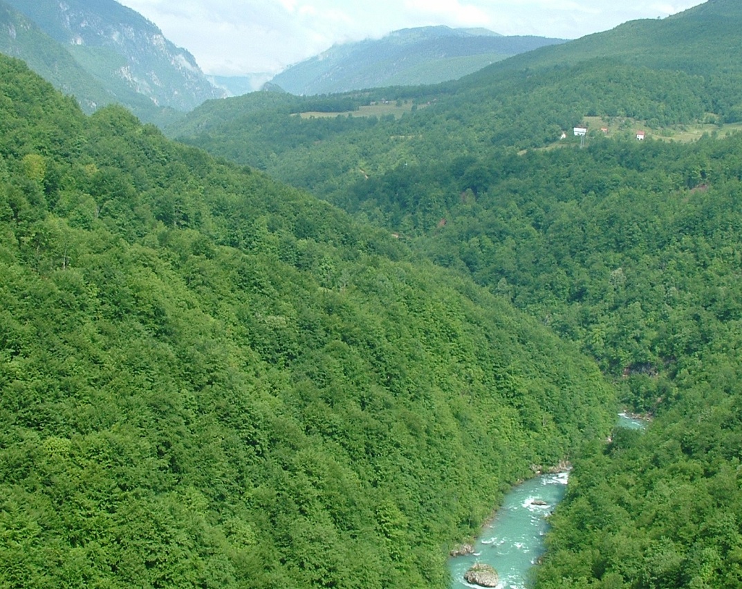 Tara River canyon
