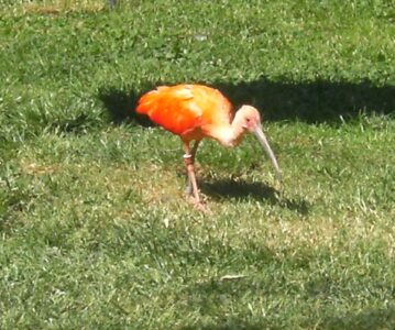 Road trip to Bohemia – Czech glassworks and Zoo