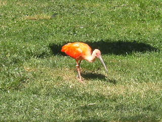 Road trip to Bohemia – Czech glassworks and Zoo