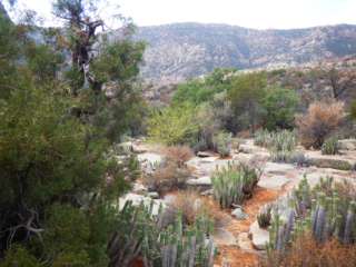 View from the hiking path