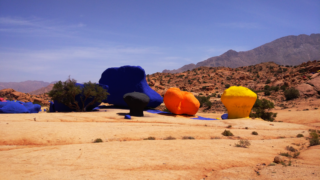 Painted rocks