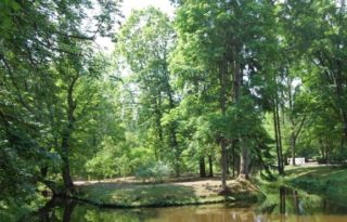 Burbiski estate park