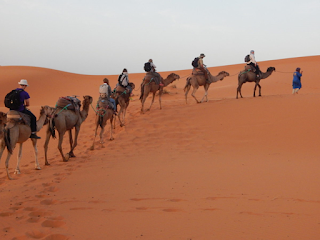 Sahara desert