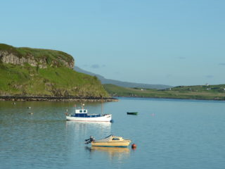 Boats in a harbour