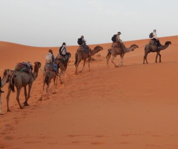 Safari trip to Sahara desert