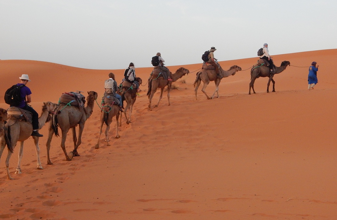 Safari trip to Sahara desert