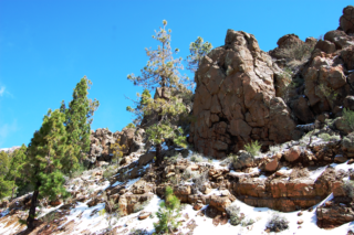 Snow in Tenerife