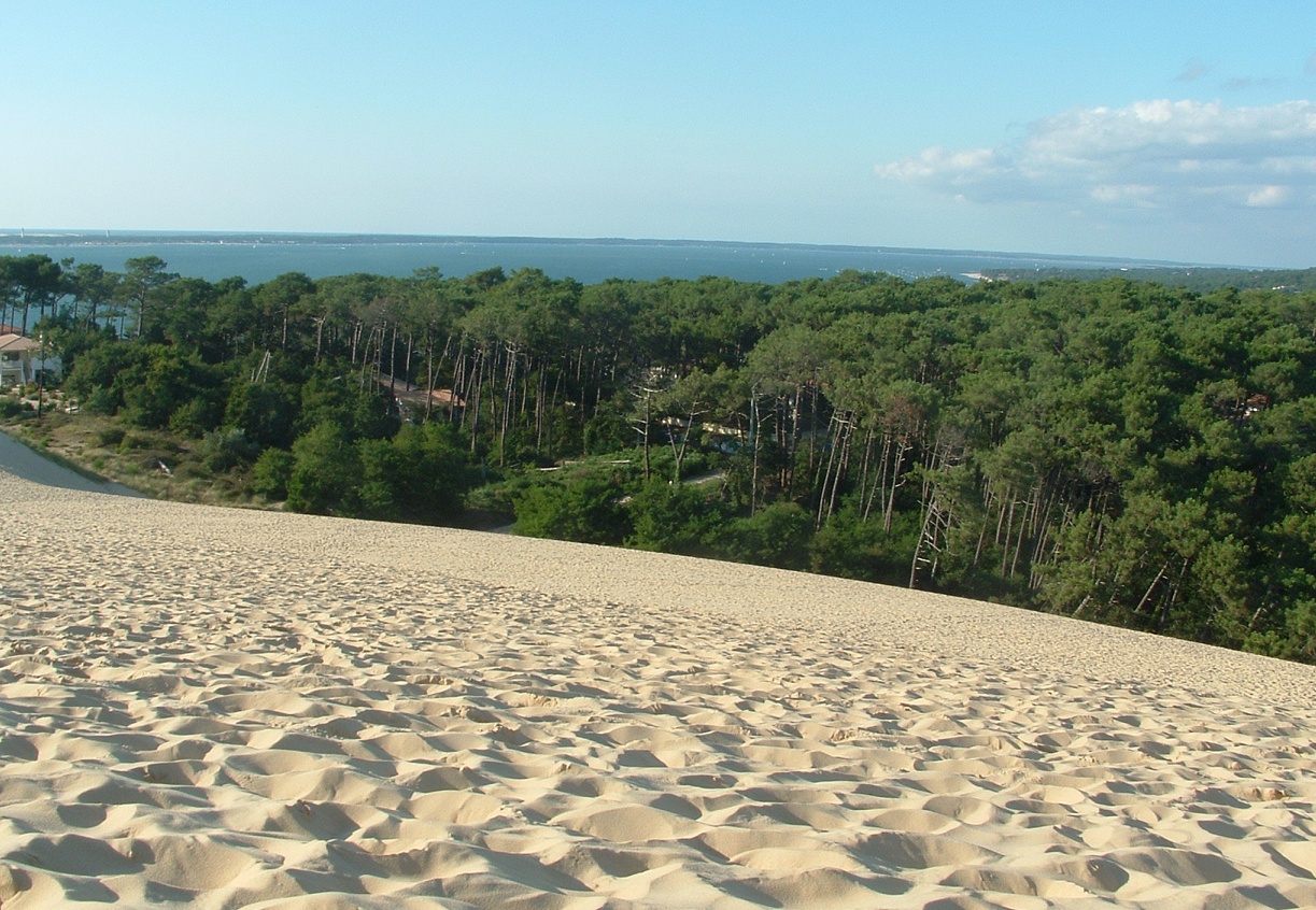 Dune of Pilat